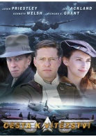 Cesta k vtzstv (DVD)