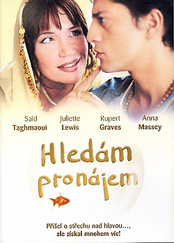 Hledm pronjem