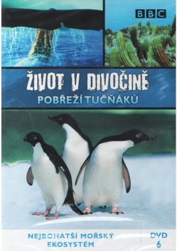 BBC Život v divočině 6 - Pobřeží tučňáků