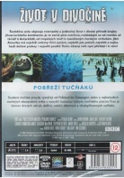 BBC ivot v divoin 6 - Pobe tuk