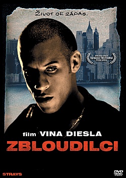 Zbloudilci