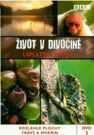 ivot v divoin - Laplatsk nina (DVD)