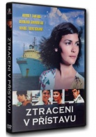 Ztraceni v pstavu (DVD)