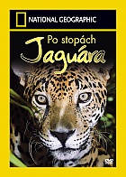 NATIONAL GEOGRAPHIC: Po stopch Jagura