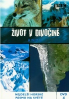 BBC ivot v divoin 4 - Andy (DVD)