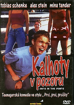 Kalhoty v pozoru