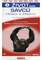 ivot savc - Pbh o peit 4 (DVD)