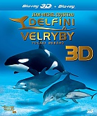IMAX Delf�ni a velryby 3D: Tul�ci oce�n� (Akce MULTIBUY)