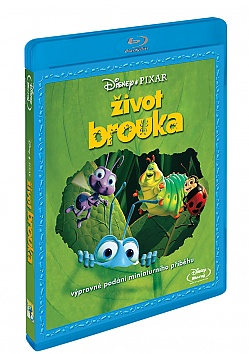 ivot brouka